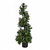 National Tree Company 48" Boxwood Spiral Topiary in Black Plastic Nursery Pot with 200 Clear Lights- UL-A/C Image 1