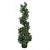 National Tree Company 48" Boxwood Spiral Topiary in Black Plastic Nursery Pot with 200 RGB LED Lights- UL-A/C Image 1