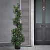 National Tree Company 48" Boxwood Spiral Topiary in Black Plastic Nursery Pot with 200 RGB LED Lights- UL-A/C Image 1