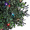 National Tree Company 48" Boxwood Spiral Topiary in Black Plastic Nursery Pot with 200 RGB LED Lights- UL-A/C Image 2