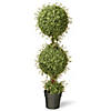 National Tree Company 48" Mini Tea Leaf 2 Ball Topiary with Dark Green Round Growers Pot-1065 Tips Image 1