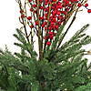 National Tree Company 48" Pre Lit Artificial Shrub, Evergreen, Decorated with Red Berries, Pine Cones, Warm White LED Lights, Includes Stylish Brown Base, Battery Powered Image 2