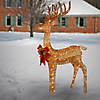 National Tree Company 48" Pre-lit Standing Reindeer Image 1