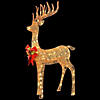 National Tree Company 48" Pre-lit Standing Reindeer Image 2