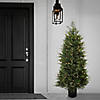 National Tree Company 5 ft. Cypress Topiary in Black Plastic Nursery Pot with 300 Clear Lights- UL- A/C Image 1