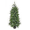 National Tree Company 5 ft. Cypress Topiary in Black Plastic Nursery Pot with 300 RGB LED Lights-UL- A/C Image 1