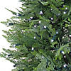 National Tree Company 5 ft. Cypress Topiary in Black Plastic Nursery Pot with 300 RGB LED Lights-UL- A/C Image 3