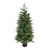 National Tree Company 5 ft. Cypress Topiary in Black Plastic Nursery Pot Image 1