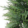 National Tree Company 5 ft. Cypress Topiary in Black Plastic Nursery Pot Image 2