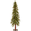 National Tree Company 5 ft. Hickory Cedar Tree Image 1