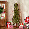 National Tree Company 5 ft. Hickory Cedar Tree Image 1