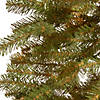 National Tree Company 5 ft. Hickory Cedar Tree Image 2