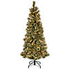 National Tree Company 5 ft. PowerConnect&#8482; Glittering Pine Pencil Slim Tree with Clear Lights Image 1