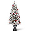 National Tree Company 5 ft. Snowy Bristle Pine Entrance Tree with Clear Lights Image 1