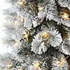 National Tree Company 5 ft. Snowy Pogue Pine Entrance Tree with LED Lights Image 3