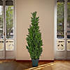 National Tree Company 50" Cedar Tree in Dark Green Round Growers Pot Image 1