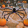 National Tree Company 50 in. Halloween Spider, LED Lights- Battery Operated Image 1