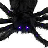 National Tree Company 50 in. Halloween Spider, LED Lights- Battery Operated Image 2