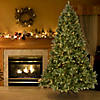 National Tree Company 6.5 ft. Downswept Douglas&amp;#174; Fir Tree with Dual Color&amp;#174; LED Lights Image 1