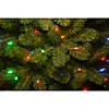 National Tree Company 6.5 ft. Downswept Douglas&amp;#174; Fir Tree with Dual Color&amp;#174; LED Lights Image 3