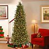 National Tree Company 6.5 ft. Jersey Fraser Fir Pencil Slim Tree with Clear Lights Image 1