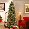 National Tree Company 6.5 ft. Jersey Fraser Fir Pencil Slim Tree with Multicolor Lights Image 1
