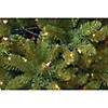 National Tree Company 6.5 ft. Kingswood&#174; Fir Pencil Tree with Clear Lights Image 2