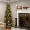 National Tree Company 6.5 ft. Kingswood&#174; Fir Pencil Tree with Multicolor Lights Image 1