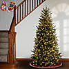 National Tree Company 6.5 ft. Natural Fraser Slim Fir Tree with Clear Lights Image 1