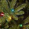 National Tree Company 6.5 ft. Natural Fraser Slim Fir Tree with Multicolor Lights Image 2