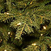 National Tree Company 6.5 ft. Nordic Spruce&#174; Slim Tree with Clear Lights Image 2