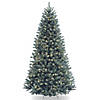 National Tree Company 6.5 ft. North Valley&#174; Blue Spruce Tree with Clear Lights Image 1