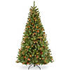 National Tree Company 6.5 ft. North Valley&#174; Spruce Tree with Multicolor Lights Image 1