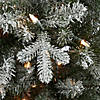 National Tree Company 6.5 ft. Snowy Morgan Spruce Slim Tree with Clear Lights Image 2