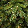 National Tree Company 6.5 ft. Tiffany Fir Slim Tree with Clear Lights Image 2