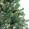National Tree Company 6 ft. Acacia Flocked Tree with Clear Lights Image 3