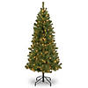 National Tree Company 6 ft. Canadian Grande Fir Tree with Clear Lights Image 1