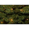 National Tree Company 6 ft. Canadian Grande Fir Tree with Clear Lights Image 2