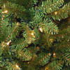 National Tree Company 6 ft. Kingswood&#174; Fir Pencil Tree with Clear Lights Image 2