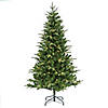 National Tree Company 6 ft. Pre-Lit Whatcom Pine Tree with LED Lights Image 1