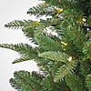 National Tree Company 6 ft. Pre-Lit Whatcom Pine Tree with LED Lights Image 2