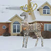 National Tree Company 60" Reindeer Decoration with Clear Lights Image 1