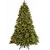 National Tree Company 7.5 ft. Downswept Douglas(R) Fir Tree with Dual Color&amp;#174; LED Lights Image 1