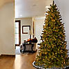 National Tree Company 7.5 ft. Downswept DouglasSlim Fir Tree with Clear Lights Image 1