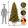 National Tree Company 7.5 ft. Downswept DouglasSlim Fir Tree with Clear Lights Image 4