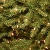 National Tree Company 7.5 ft. Dunhill&#174; Fir Tree with Dual Color(R) LED Lights Image 2