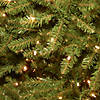 National Tree Company 7.5 ft. Dunhill&amp;#174; Fir Tree with Dual Color(R) LED Lights Image 2