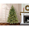 National Tree Company 7.5 ft. Frasier Grande Tree with Clear Lights Image 3