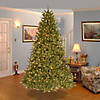 National Tree Company 7.5 ft. Grande Fir Medium Tree with Clear Lights Image 1