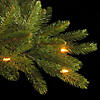 National Tree Company 7.5 ft. Grande Fir Medium Tree with Clear Lights Image 4